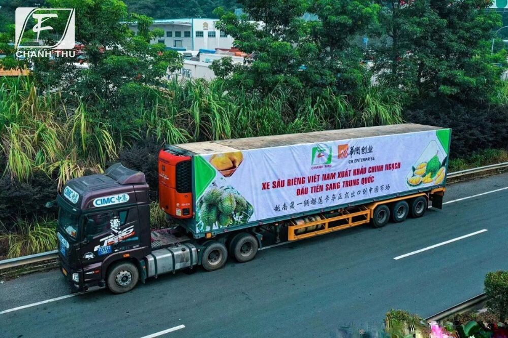 Xe sầu riêng Việt Nam xuất khẩu chính ngạch đầu tiên sang Trung Quốc