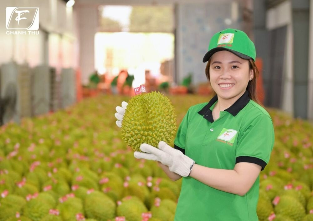 Khám phá trái cây Việt Nam: Trái sầu riêng